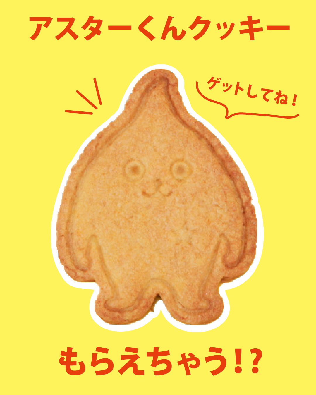 【7月31日まで！】アスターくんクッキープレゼント - イメージ
